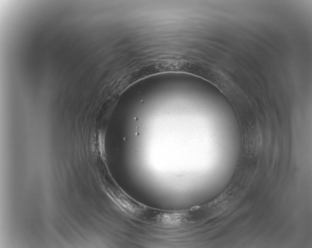 X0000059810134200510241405