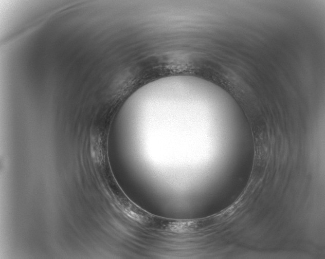 X0000059810136200510241405