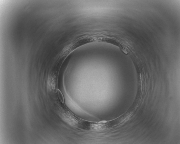 X0000059810139200510241405