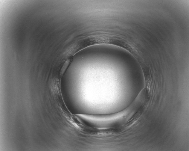 X0000059810141200510241405