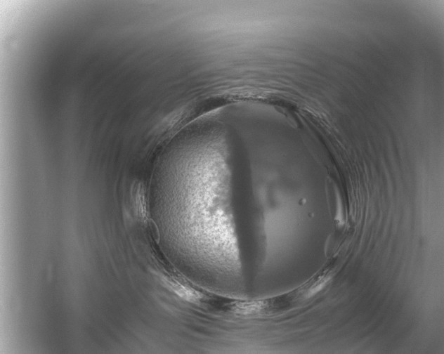 X0000059810143200510241405