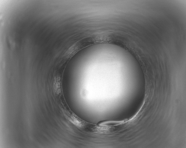 X0000059810144200510241405