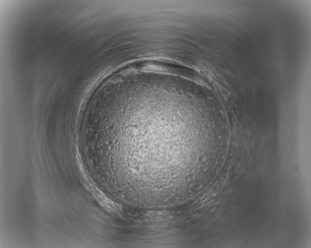 X0000059810145200510241404