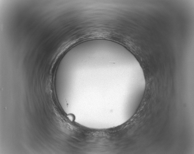 X0000059810146200510241404