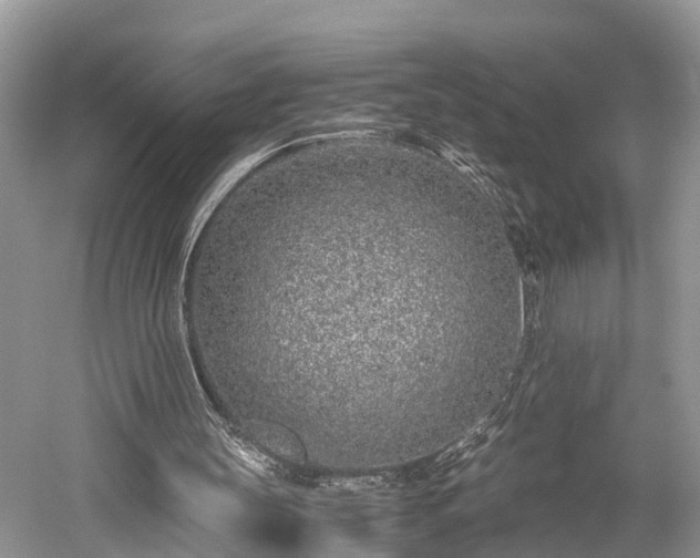 X0000059810147200510241404