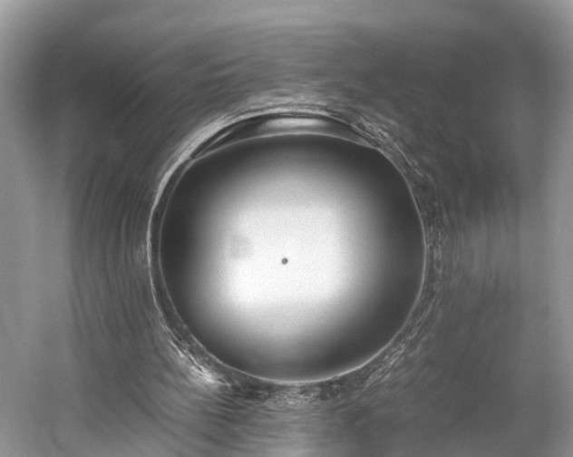 X0000059810148200510241404