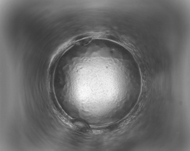 X0000059810149200510241404