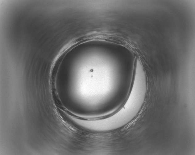 X0000059810150200510241404