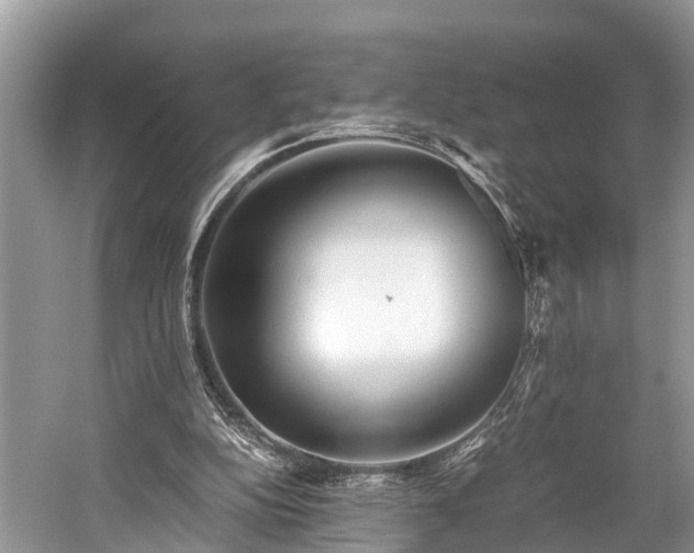 X0000059810152200510241404