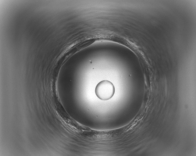 X0000059810154200510241404