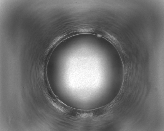 X0000059810155200510241404