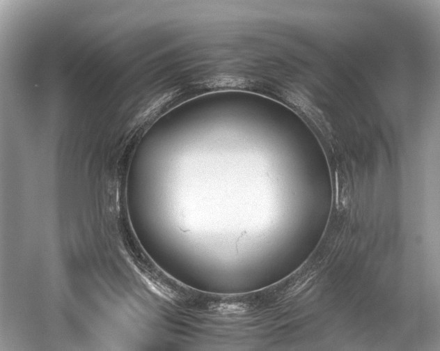 X0000059810157200510241404