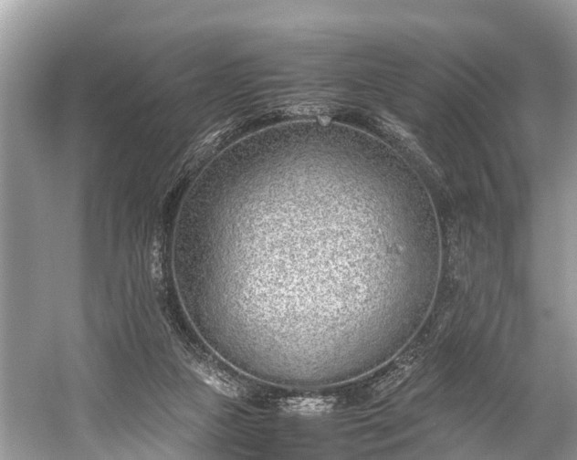 X0000059810161200510241404