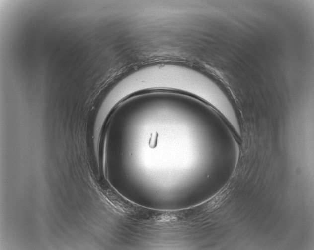 X0000059810162200510241404