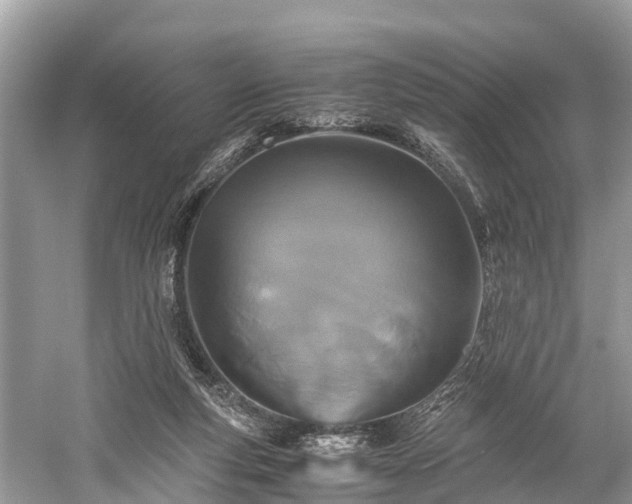 X0000059810163200510241404