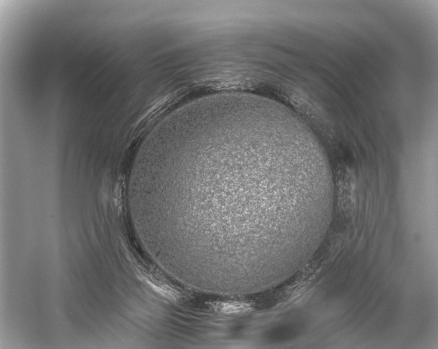 X0000059810165200510241404