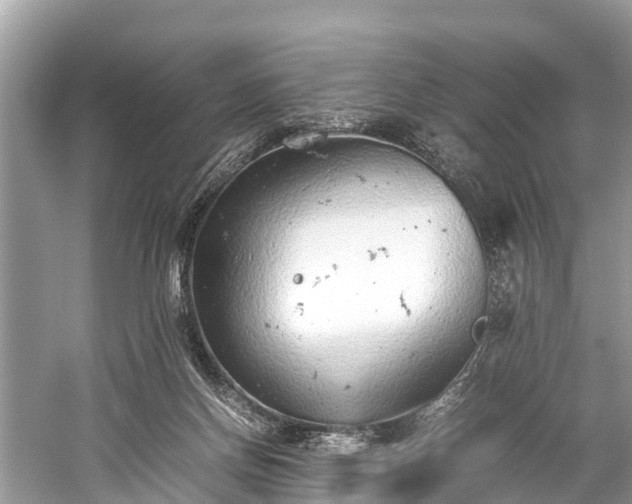 X0000059810166200510241404