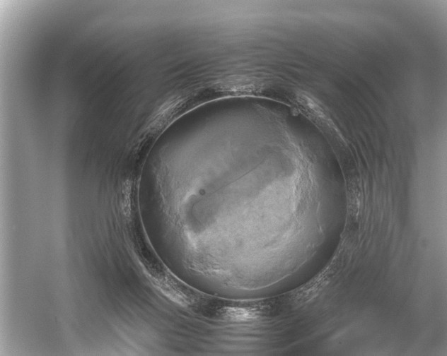 X0000059810167200510241405