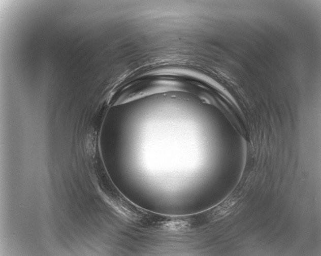 X0000059810168200510241405