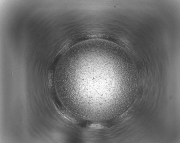 X0000059810171200510241405