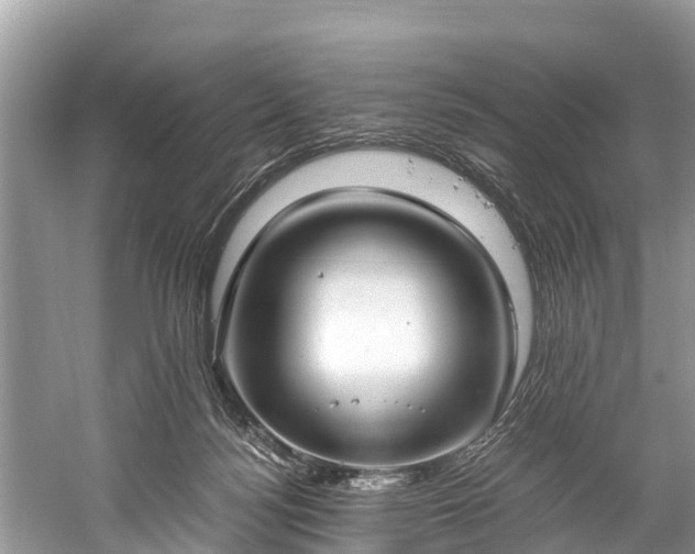 X0000059810172200510241405