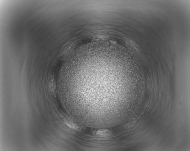 X0000059810173200510241405