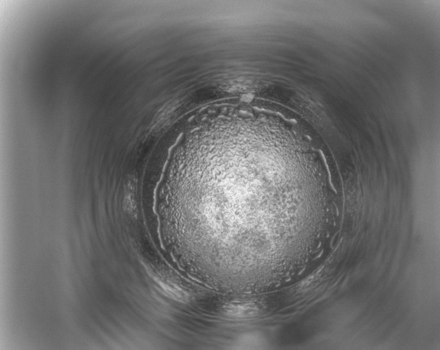 X0000059810175200510241405