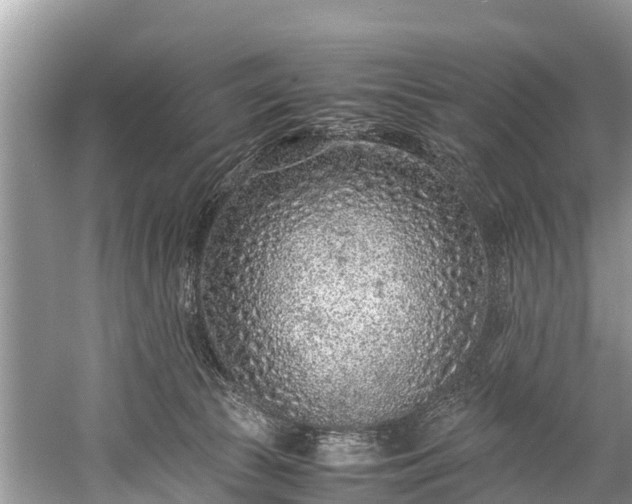 X0000059810177200510241405