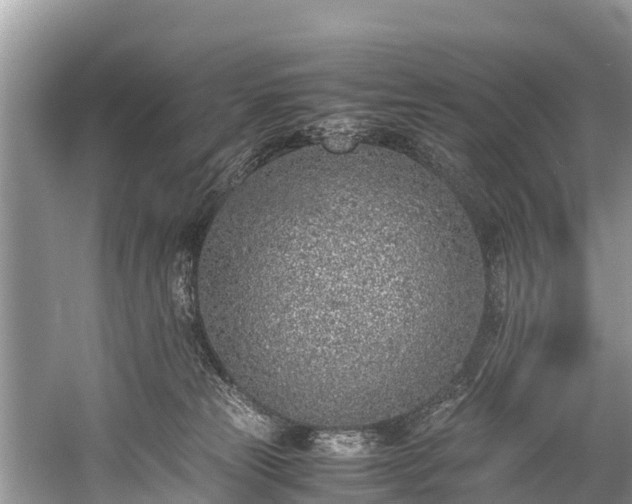 X0000059810181200510241405