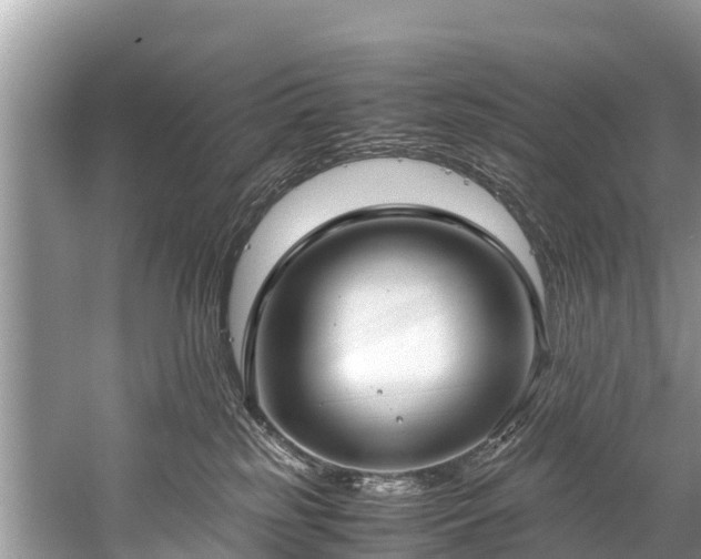 X0000059810185200510241405