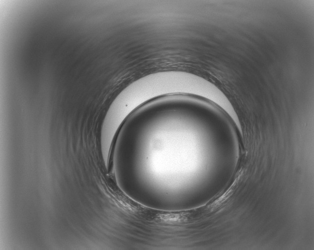 X0000059810187200510241405