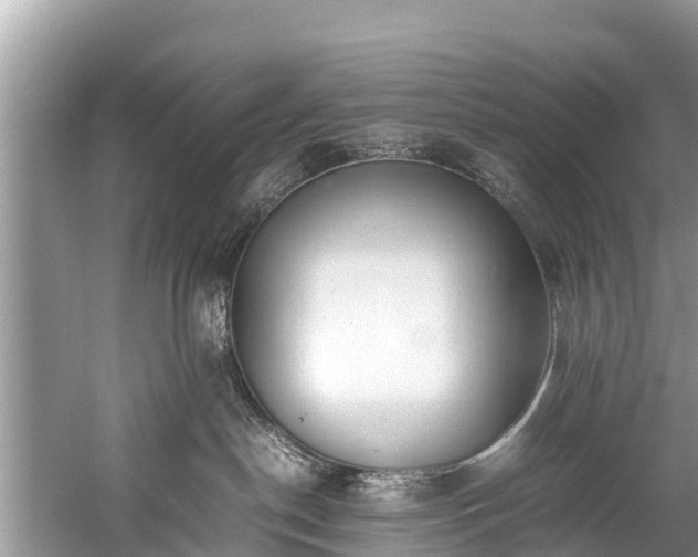 X0000059810190200510241405