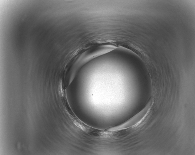 X0000059810192200510241405