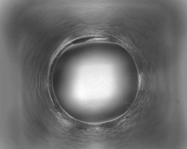 X0000059810195200510241404