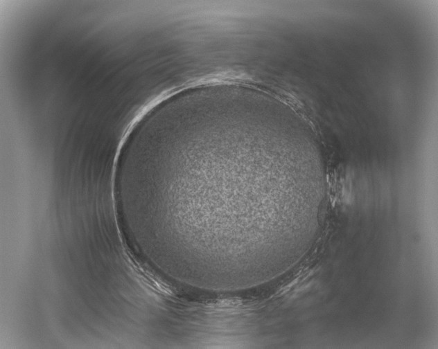 X0000059810196200510241404