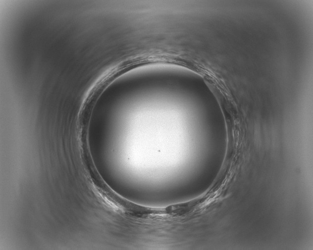 X0000059810197200510241404