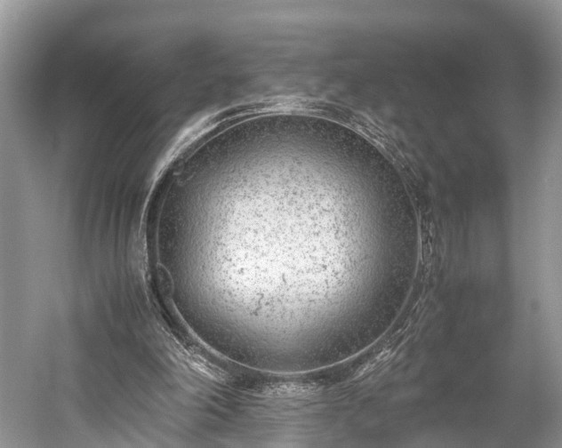 X0000059810198200510241404