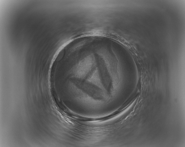 X0000059810200200510241404