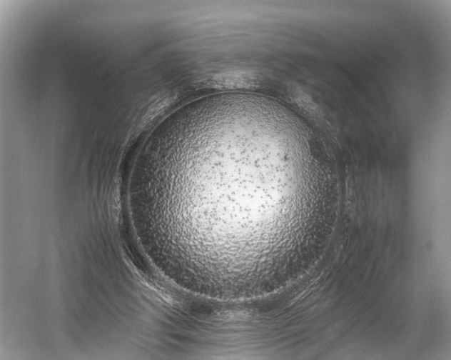 X0000059810202200510241404