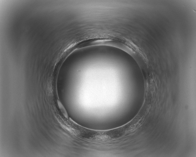 X0000059810203200510241404