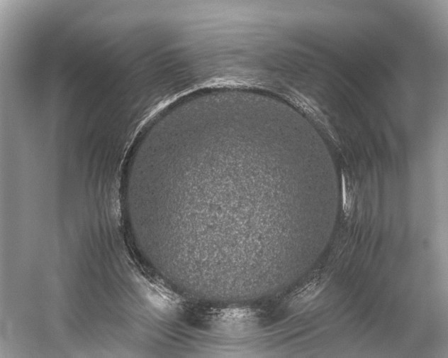 X0000059810204200510241404