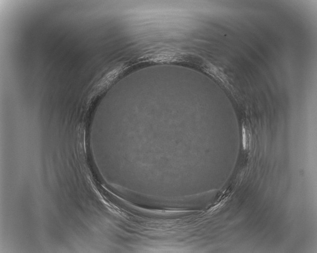 X0000059810205200510241404