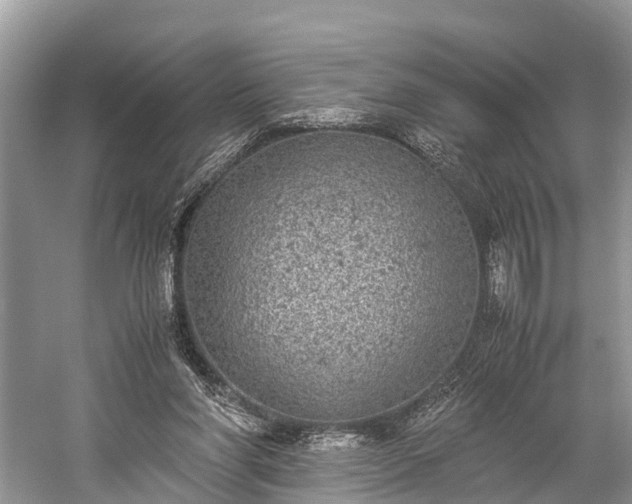 X0000059810206200510241404