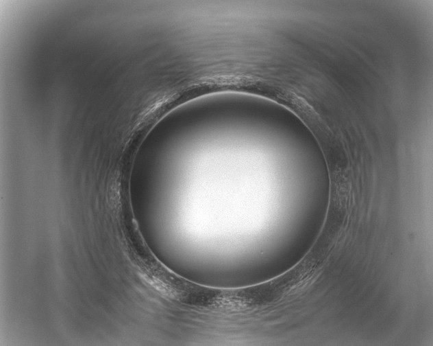 X0000059810207200510241404