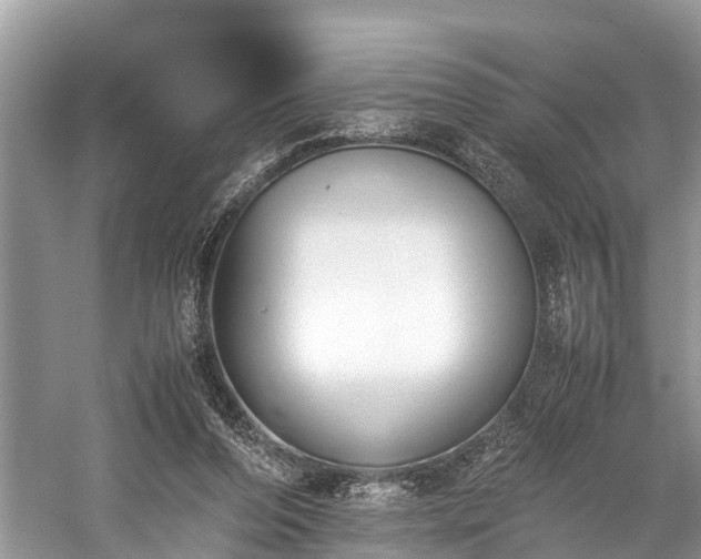 X0000059810208200510241404