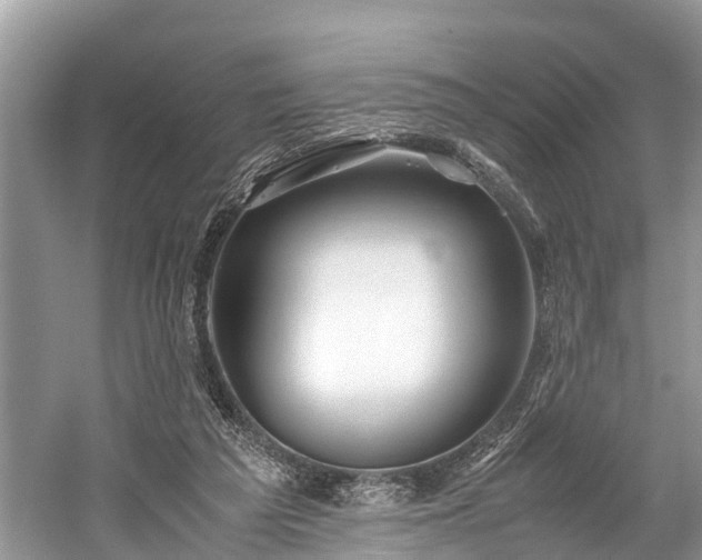 X0000059810209200510241404