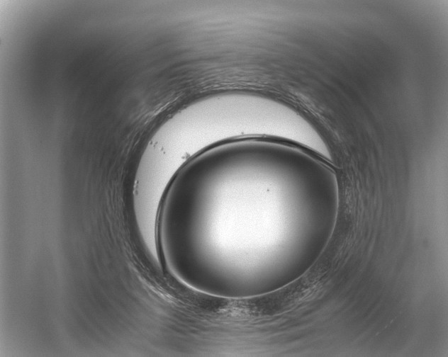 X0000059810211200510241404