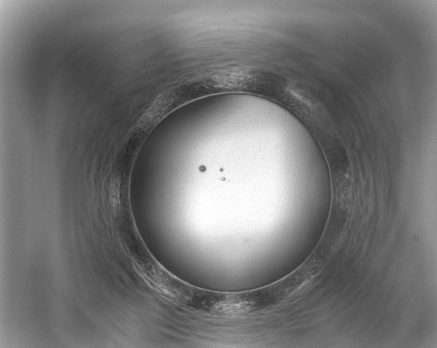 X0000059810213200510241404