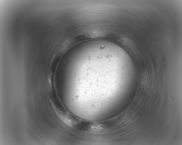 X0000059810214200510241404