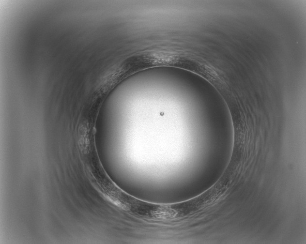 X0000059810215200510241404